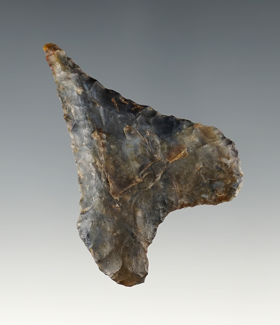 2 3/16" Mule Ear found in Benton Co., Washington.