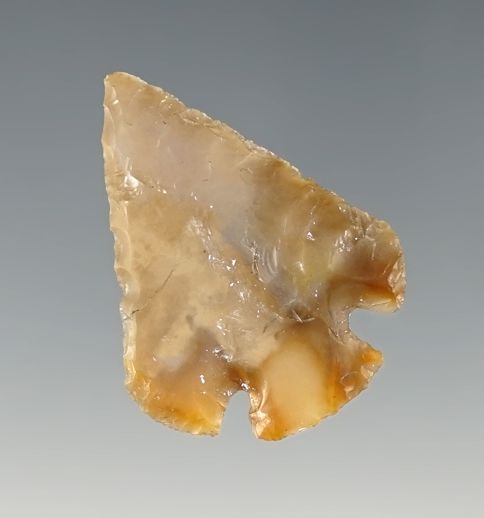 Nice 1 1/4" Quilomene Bar found in Vantage, Washington.