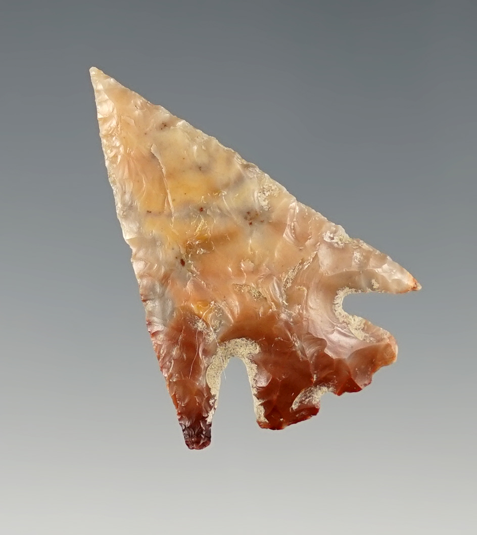 Superb 1 3/8" Columbia Plateau found in Playmouth, Washington.