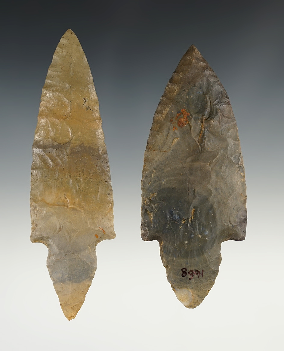 Pair of heavily restored Turkeytail points found in Kentucky. The largest is 4 11/16".