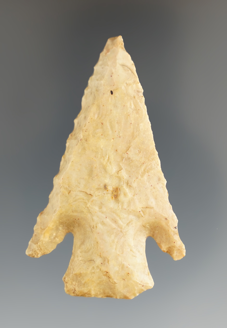 2 1/2" steeply beveled Hardin found in Illinois.