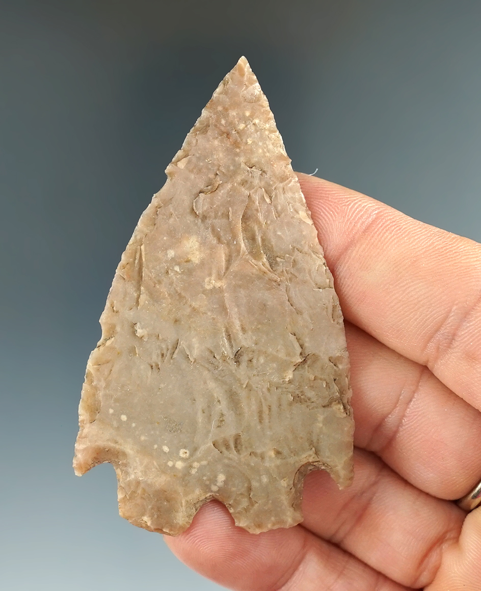 Thin and very well flaked 2 11/16" Montell found in Central Texas. Comes with a Rogers COA.