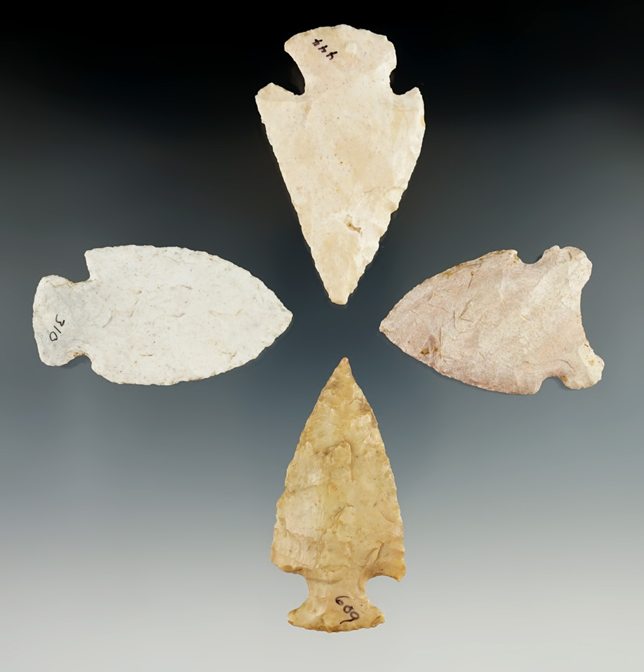 Four Missouri arrowheads, largest is 2 1/2".