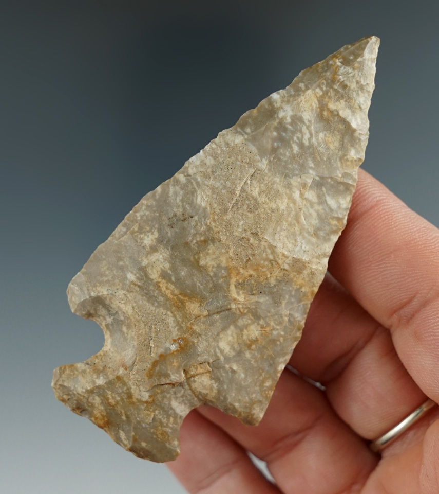 3 1/8"  made from Fort Payne chert found in Kentucky.