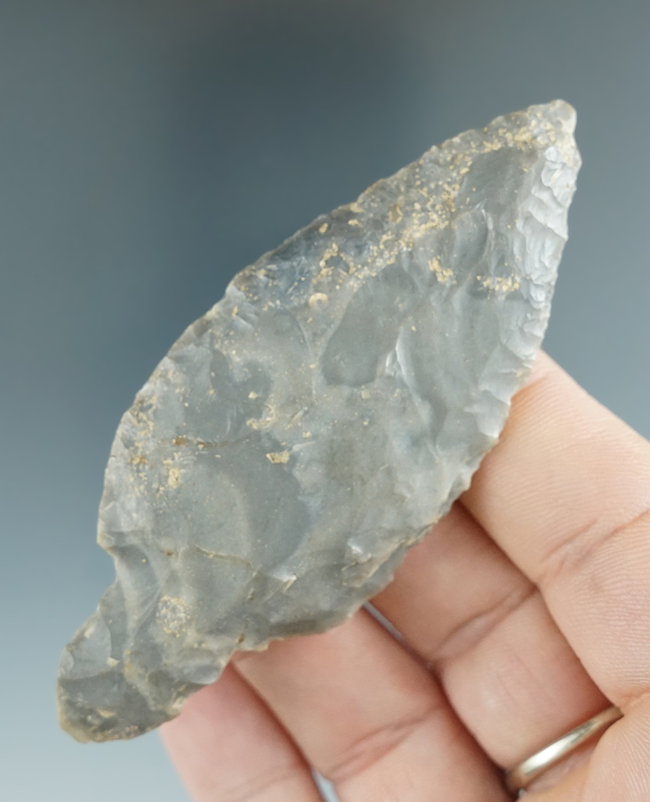 3 3/8" multi-colored Hornstone Turkey Tail. Found in Kentucky.