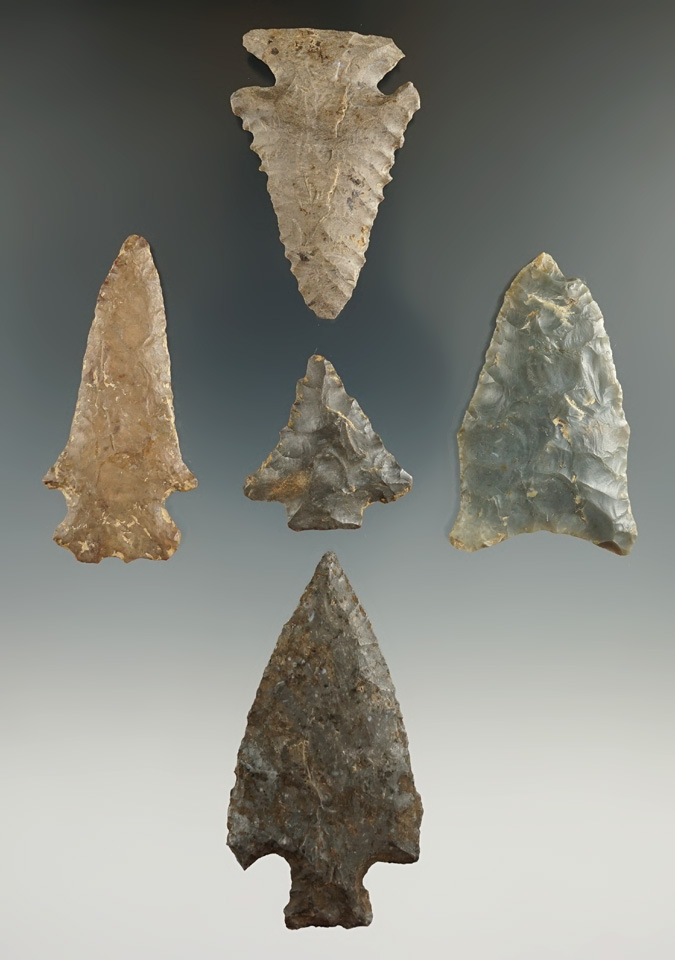 Set of five assorted points found in Tennessee and Kentucky, largest is 2 9/16".