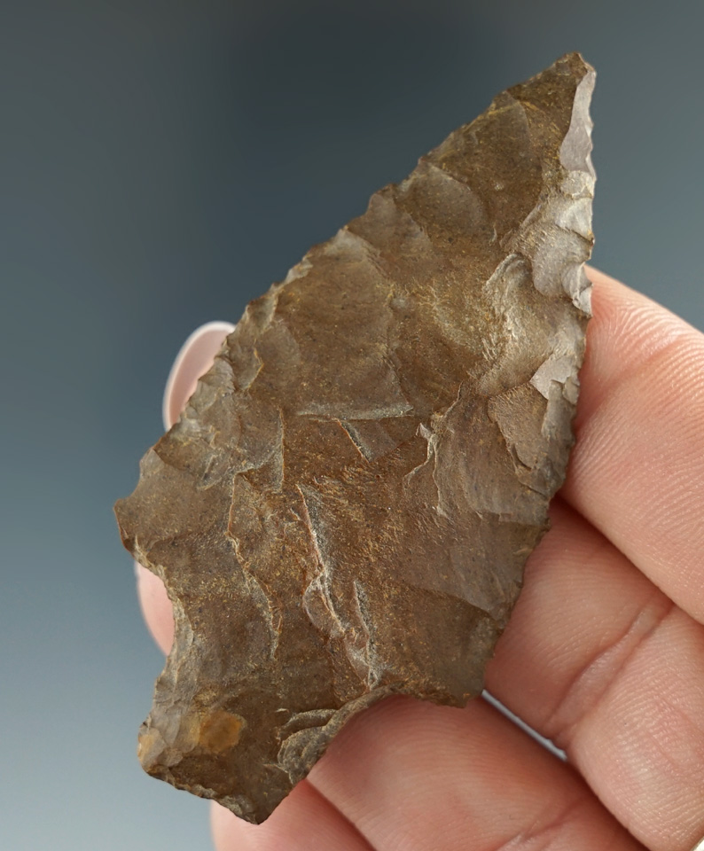 Very nice 2 9/16" Jasper Gatecliff found near Fountain Bar, Columbia River, Washington.