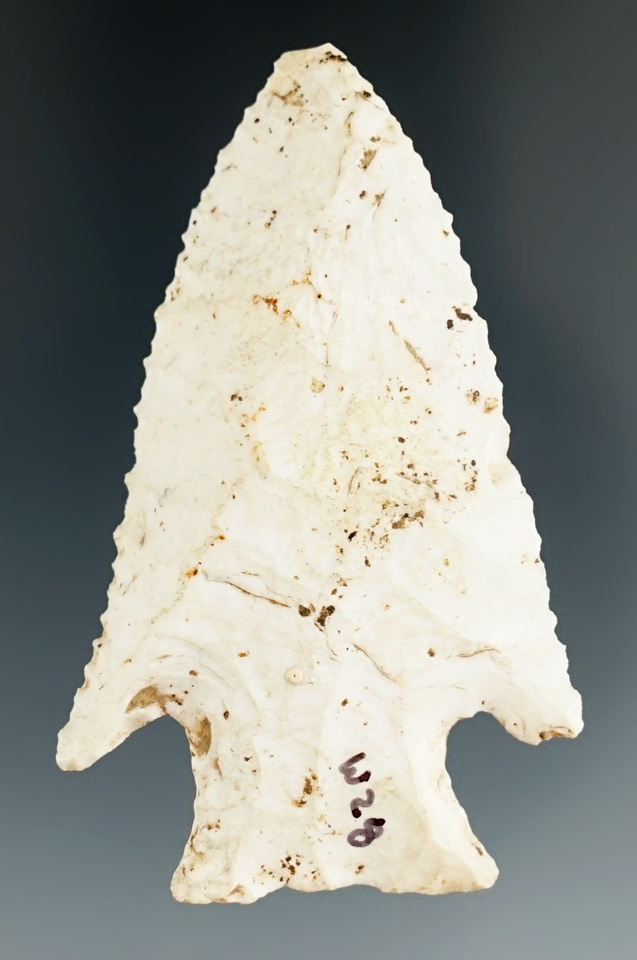 3 3/8" Burlington chert Hardin with nice edge serrations found in Pike Co., Missouri.