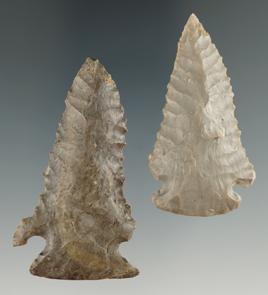 Pair of Pinetree points found in Kentucky, largest is 2 1/4".