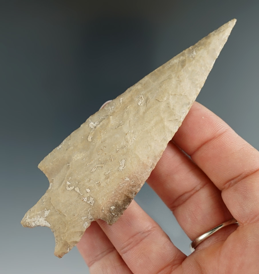 4" Pedernales point within incredible needle tip in great style found in Uvalde Co., Texas. Rogers C