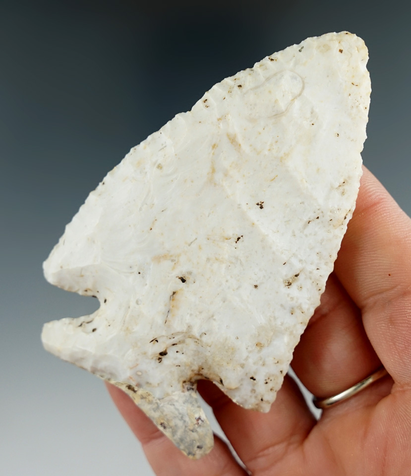 3 1/2" Archaic Thebes bevel with one restored basal ear found in the Indiana/Illinois area.