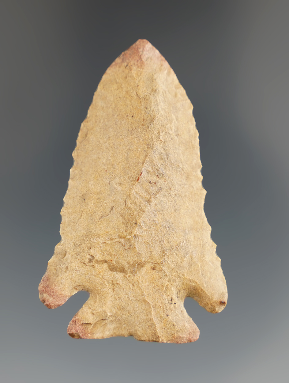 2 1/8" Pine Tree point found in Kentucky.