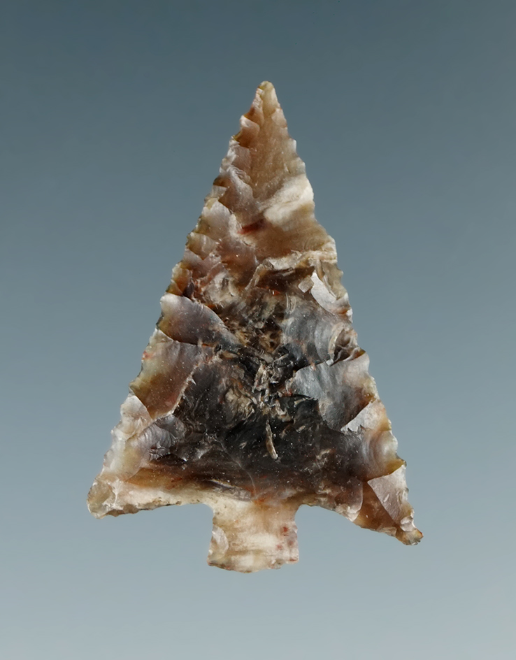 1" Wallula Gap found near Snake River, Washington.