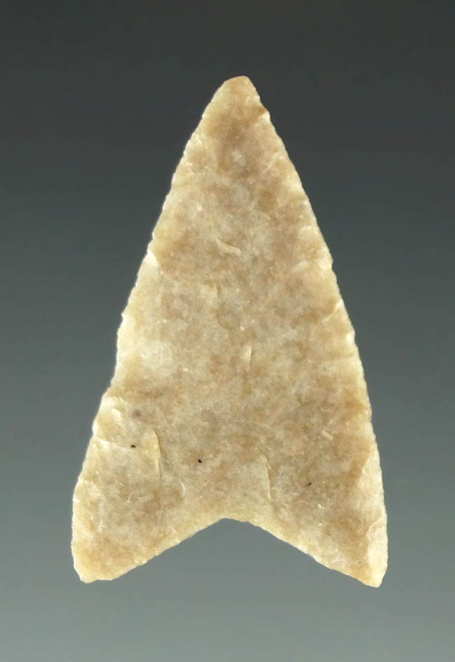 Ex. Museum! 1 1/8" Starr point that is very thin found in Texas. Ex. Charles Shewey collection.