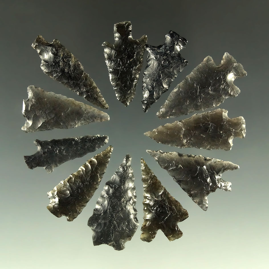 Set of 11 assorted arrowheads found near Fort Rock Oregon, largest is 1 1/16".