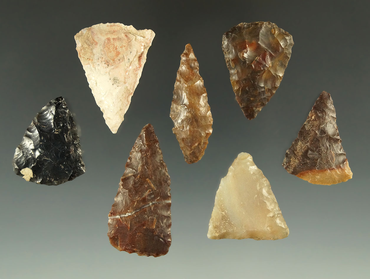 Set of seven assorted Triangular points found near the Columbia River, largest is 1 9/16".
