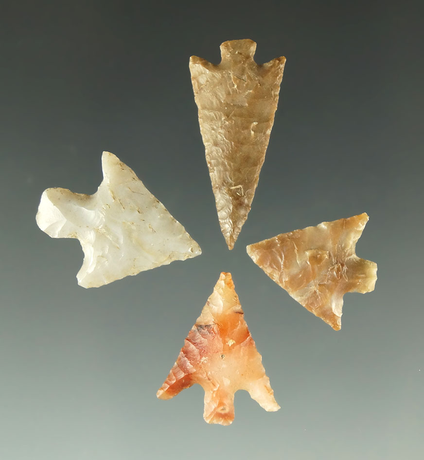 Set of four Columbia River arrowheads in excellent condition, largest is 7/8".