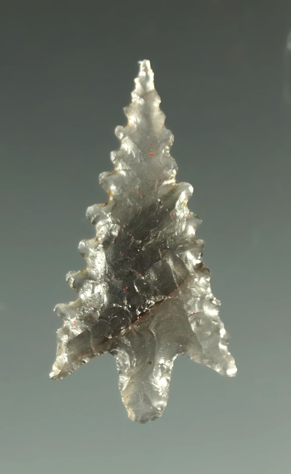 Ex. Museum! 1" Calapooya - beautiful edge serrations found in southern Oregon. Ex. Shewey.