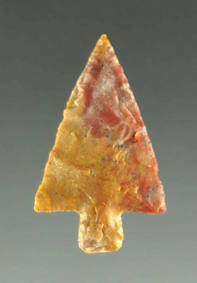 Thin and well flaked 15/16" Wallula found near the Columbia River.