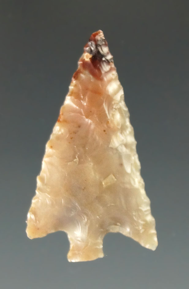 1" Columbia Plateau - attractive material found near the John Day River by Kaye Don Bruce.