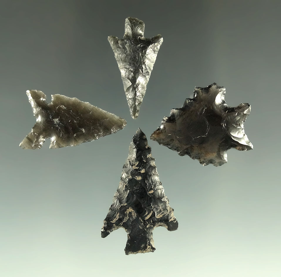Set of four arrowheads found near Fort Rock Oregon, largest is 1 1/8".