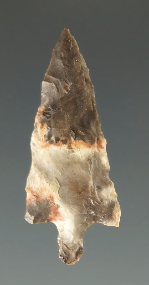 1 1/16" Columbia River Gempoint found near the John Day Rapids  by Kaye Don Bruce.