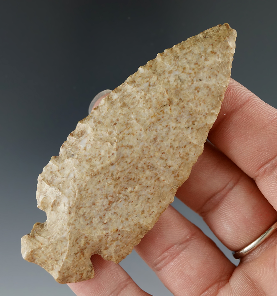 3 3/16" Dovetail found in Crawford County Illinois. Ex. S. Hussey, Don Simmons.