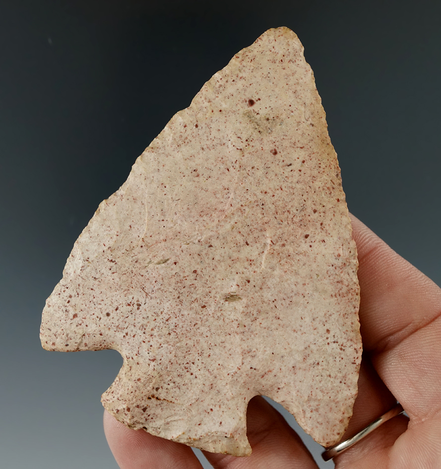 3 3/16" Snyders Point made from Bloomville Chert, found in Greene Co., Indiana. Perino COA.