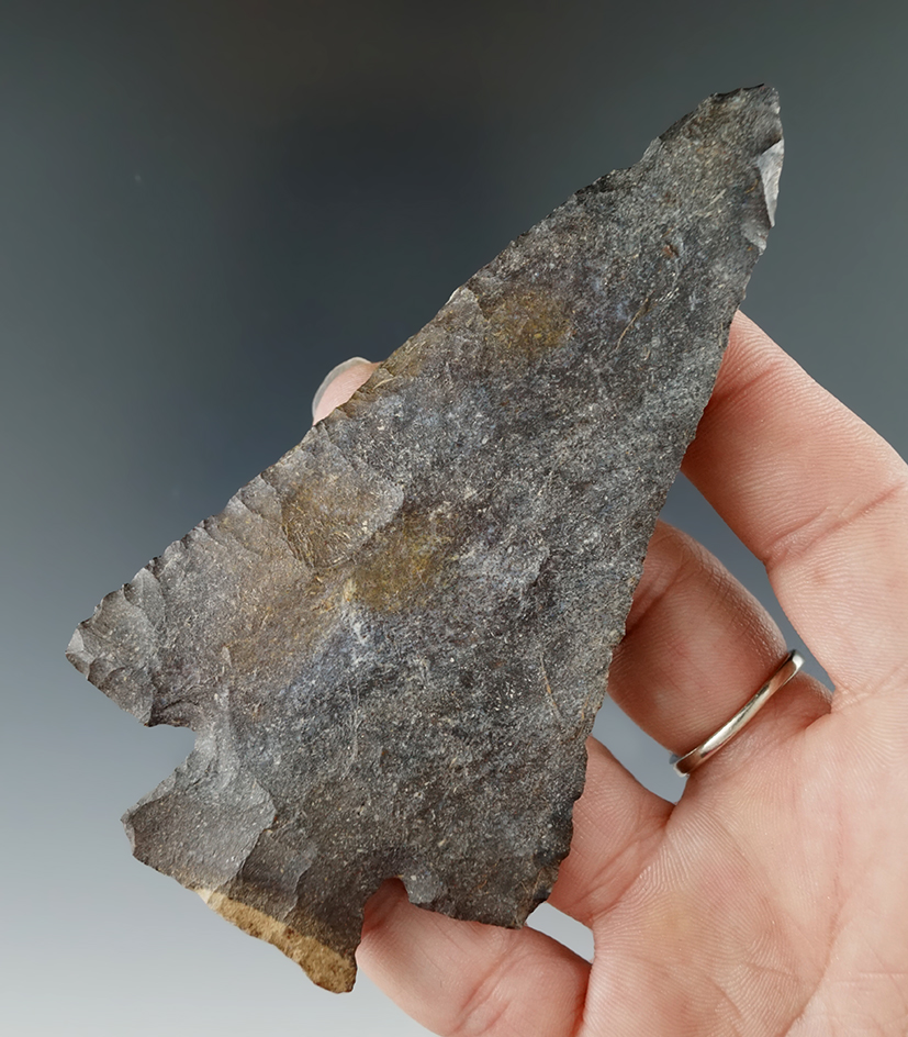 Large! 4 1/2" Decatur found in Southern Illinois with excellent style. Comes with a Motley COA.