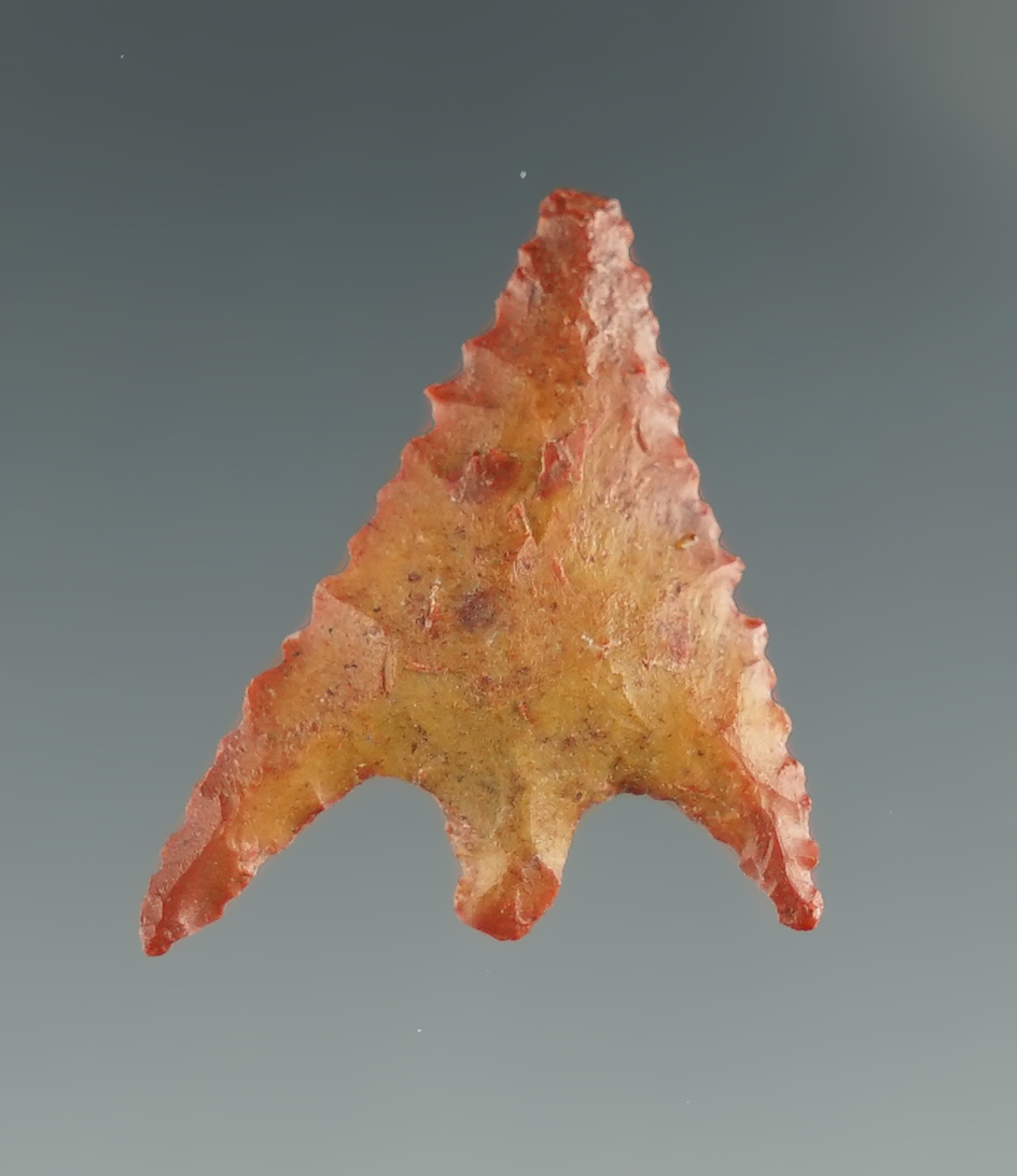 15/16" Gunther Barbed made from red and yellow Jasper. Found in Southern OR.