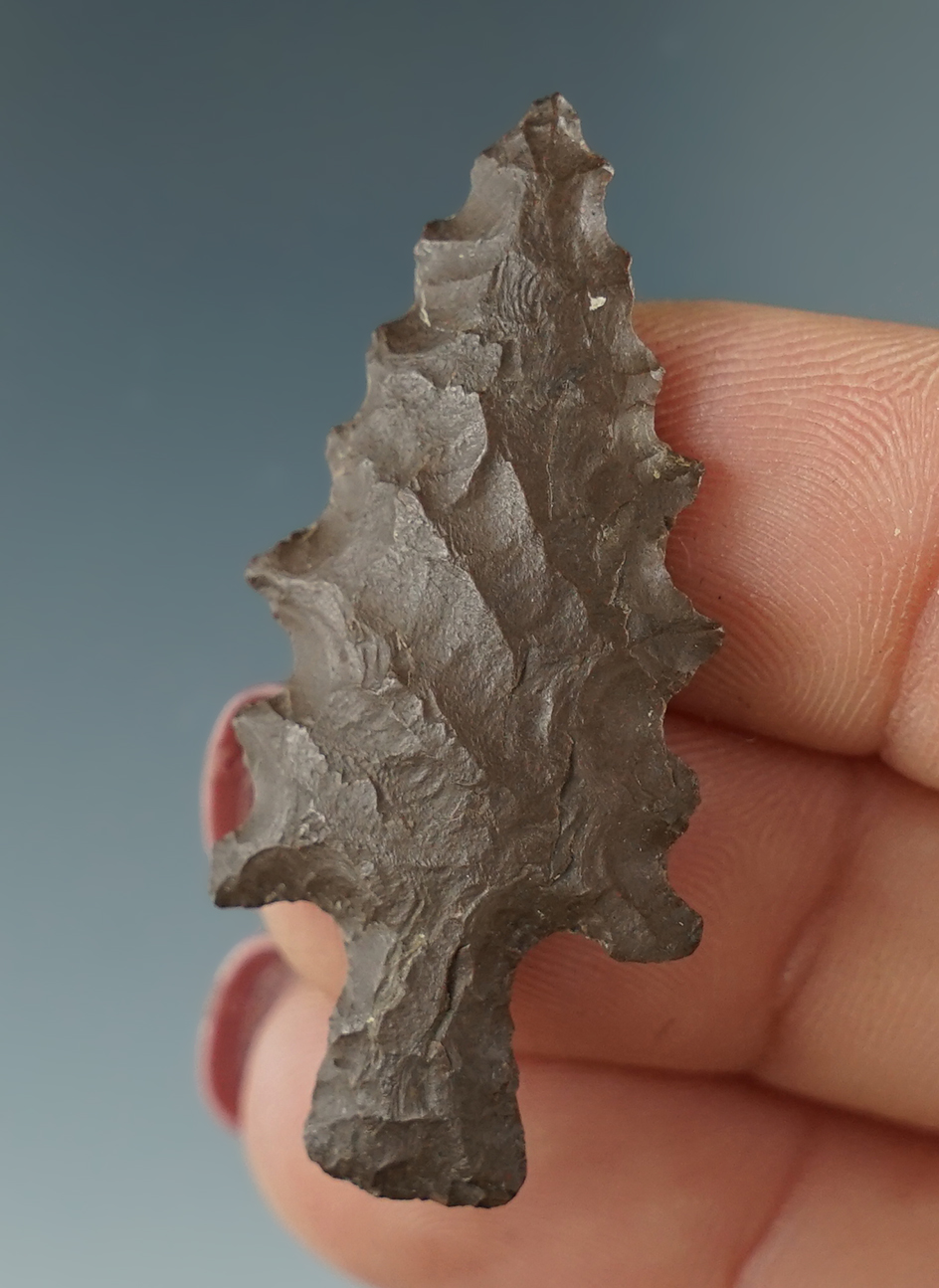 1 11/16" Calapooya Knife made from brown Jasper. Found in Willamette Valley, OR. Pictured!