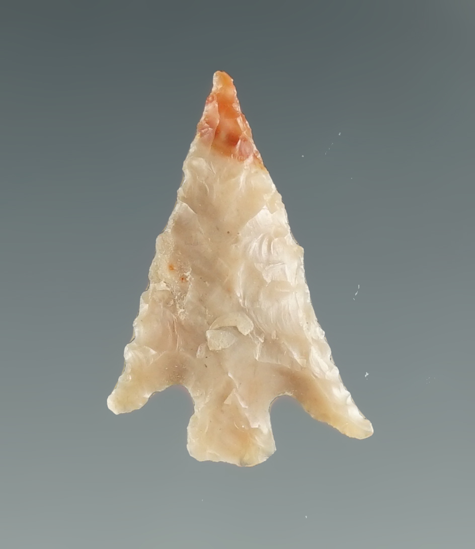 3/4" Columbia Plateau made from tan Agate with a blood red tip "Gem". Columbia River, OR.