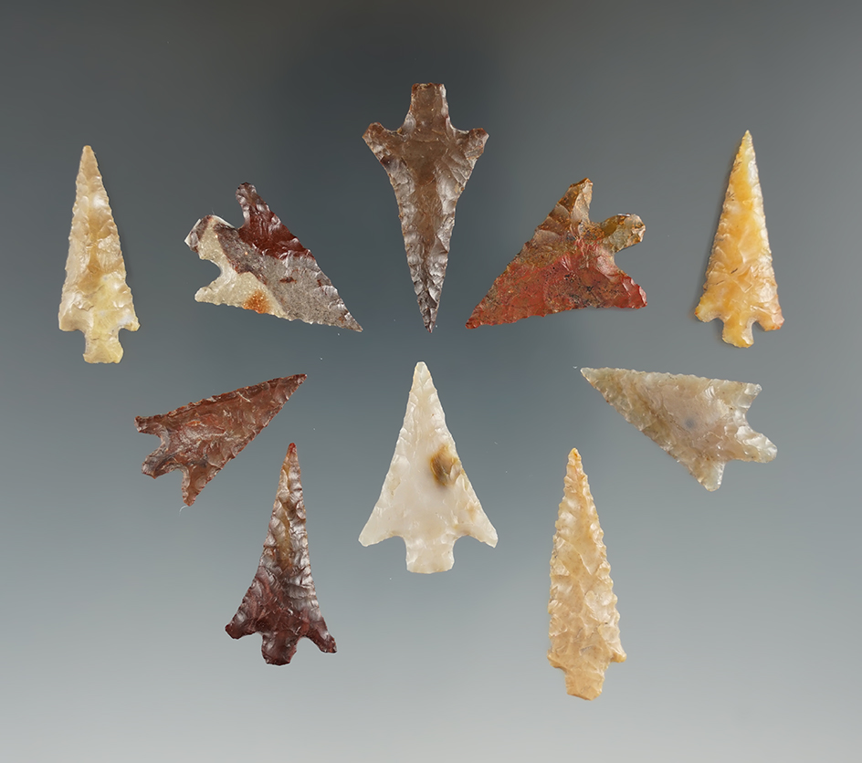 Ten Columbia River Points. Longest is 1 1/4". Found near the Columbia River, OR.