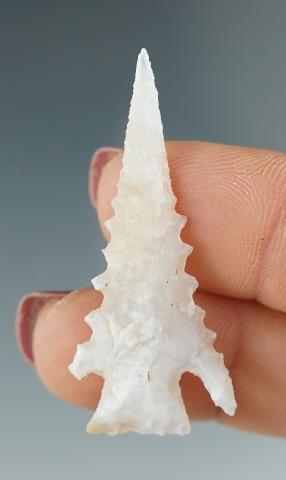 1 5/8" Snake River with extreme serrations made from white Agate. Columbia River, OR.