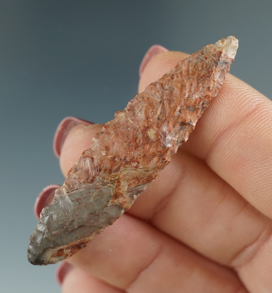 2 3/16" Cascade Leaf - gray and brown Jasper. Found near the Columbia River, OR. Pictured!