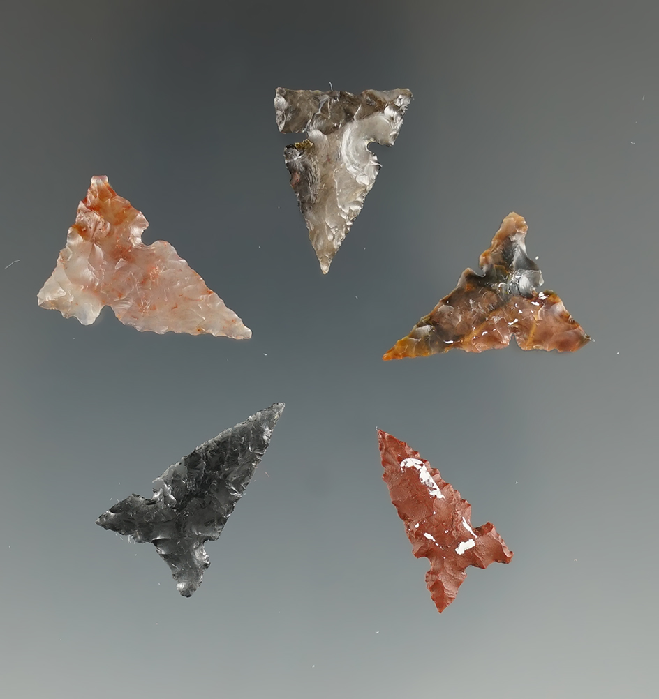 Five Sierra Sidenotch Points. Longest is 3/4". Found near the Columbia River, OR.