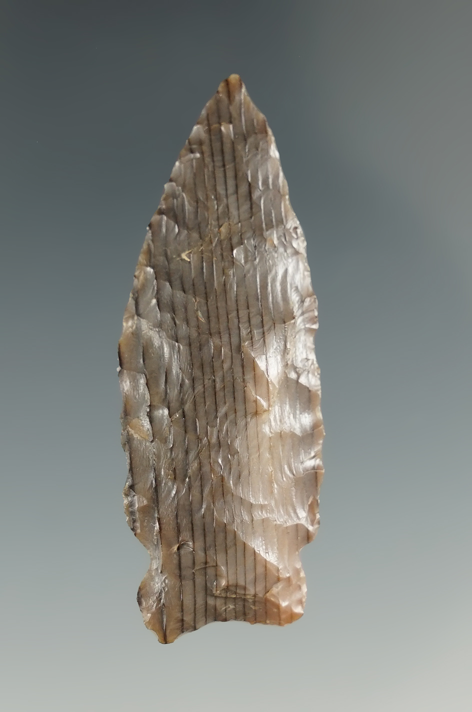 1 3/4" Side Notch Point made from gray and black petrified wood. Columbia River, OR.