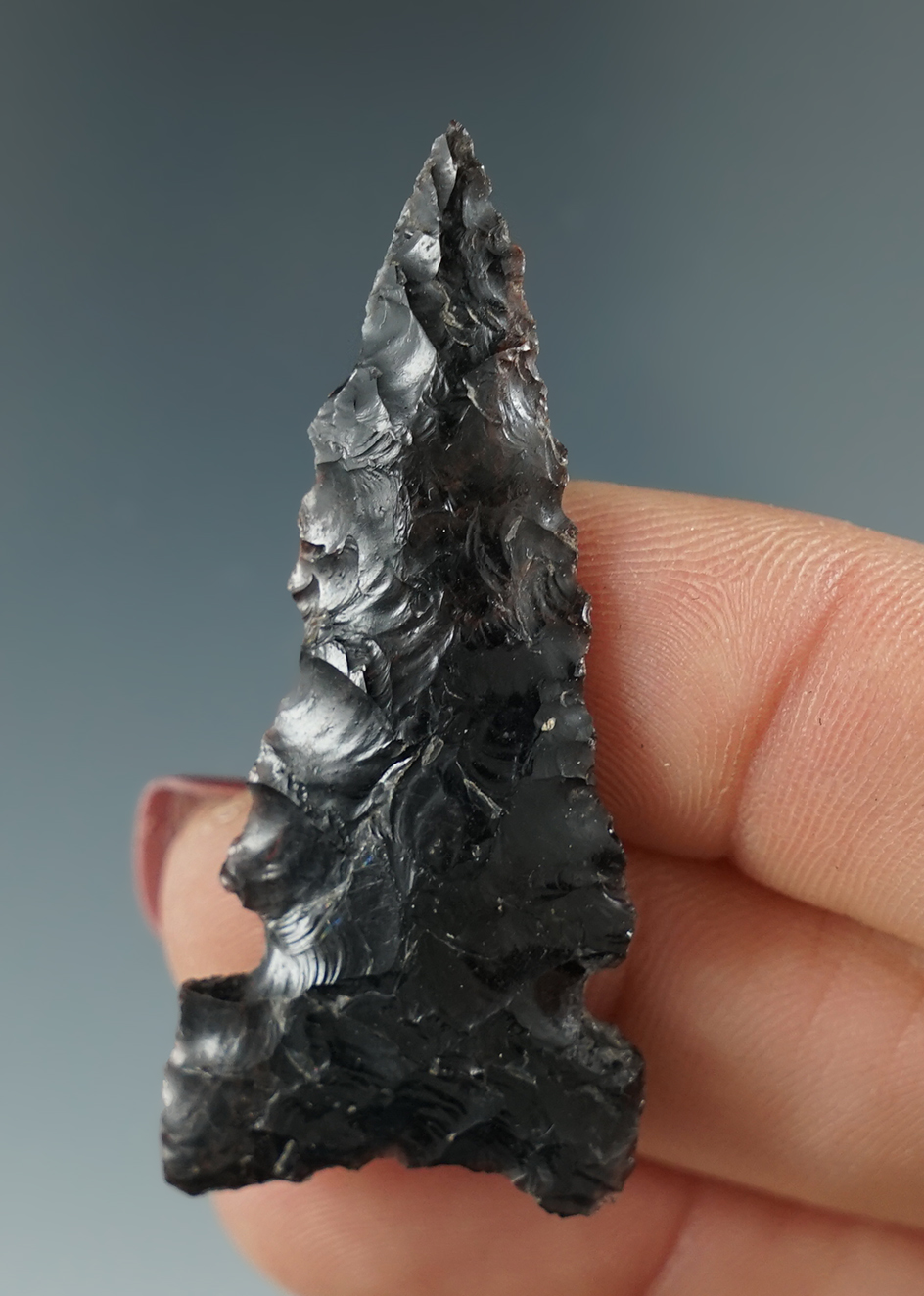 1 15/16" Northern Sidenotch made from Obsidian. Found in the Great Basin, OR.