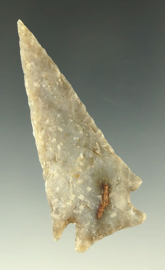 2 9/16" Ensor point found in Texas.