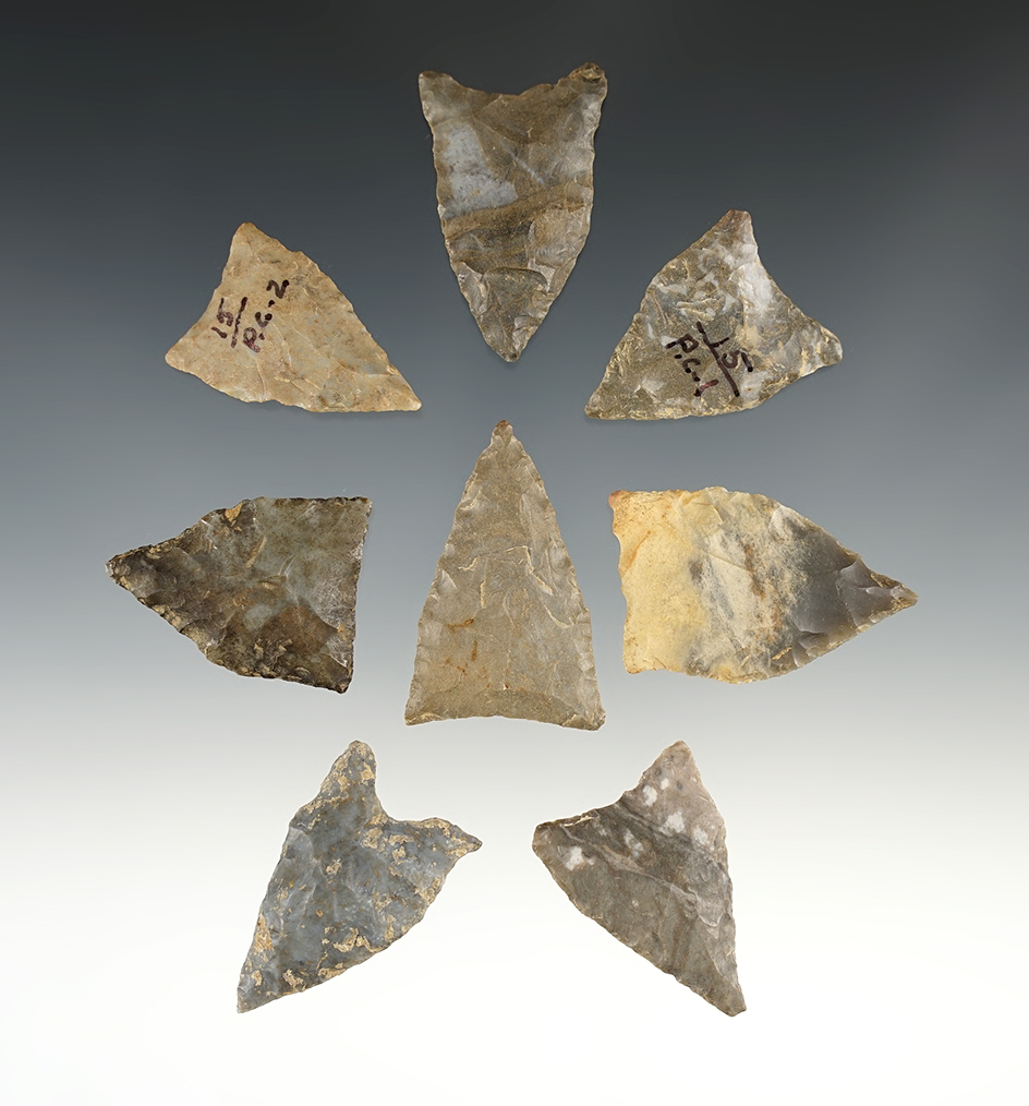 Set of 8 nice points found by J.R. Dalton in Pulaski Co., Kentucky. The largest is 1 3/4".
