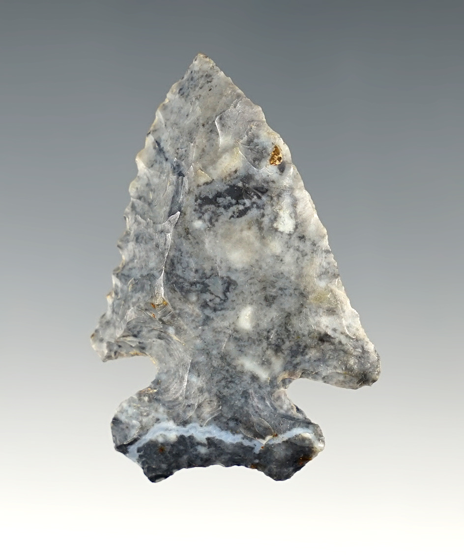 1 7/8" Thebes Bevel made from fine Upper Mercer Flint. Found by Jack Hooks in Richland Co., Ohio.