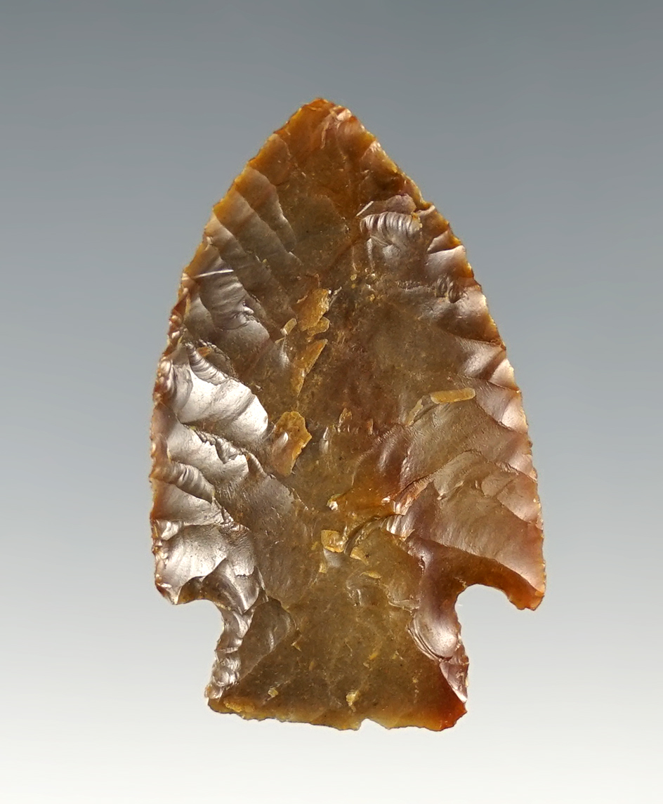 1 1/2" Hell's Canyon found in Benton Co., Washington.