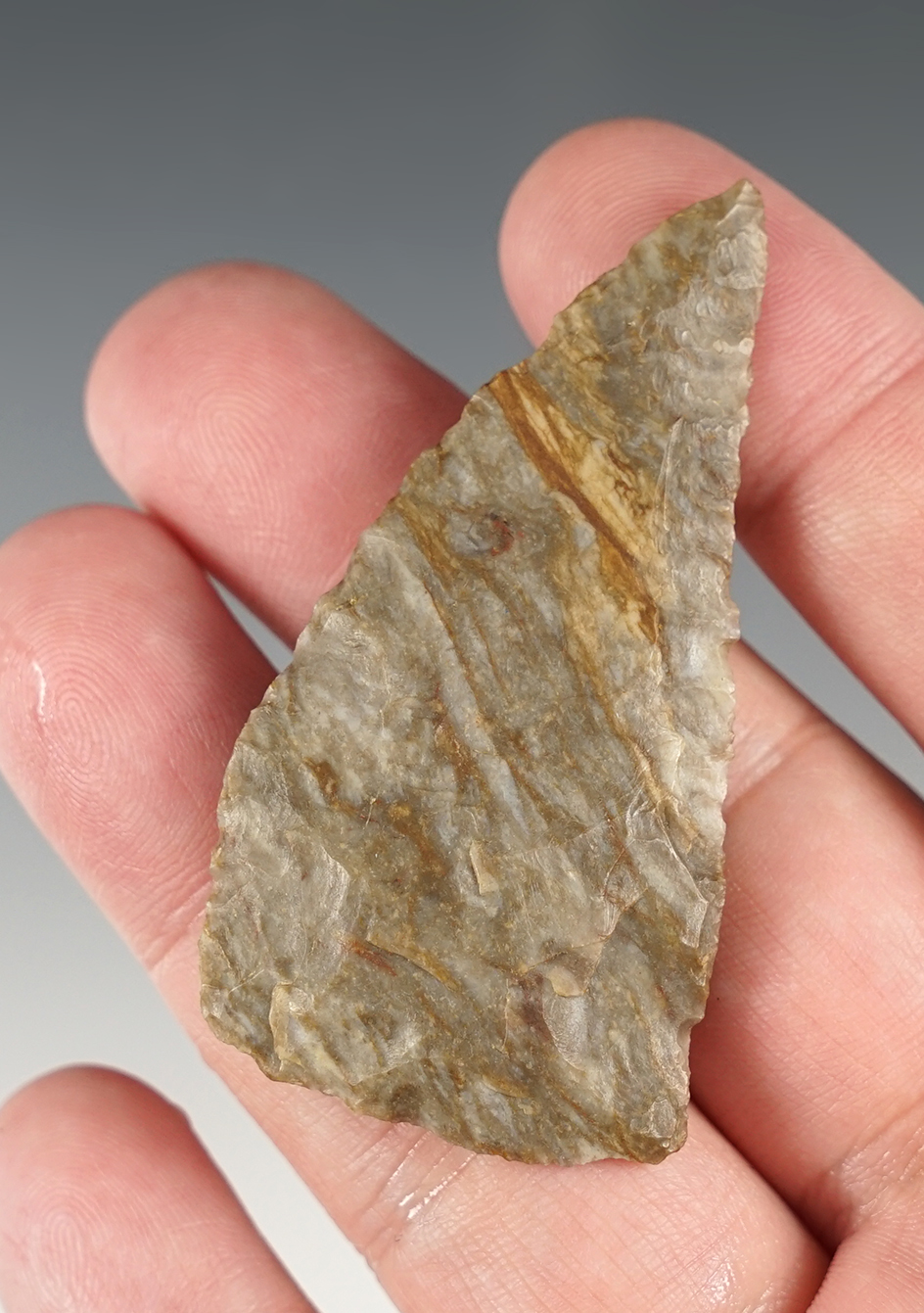 2 7/16" Archaic curved Knife found in Ohio. Made of very nice gray and orange Coshocton Flint.