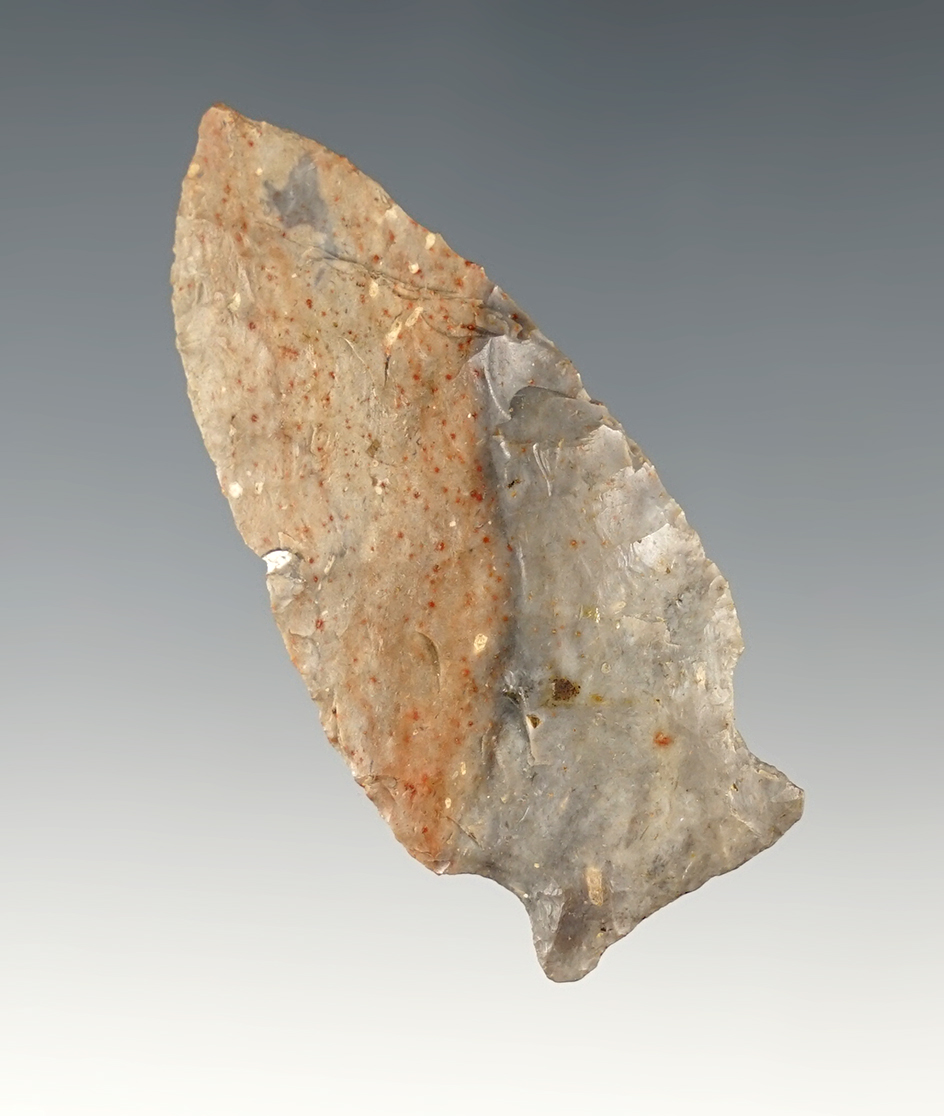 2 3/16" Paleo Transitional Point made from two tone Upper Mercer Flint. Found in Huron Co., Ohio.