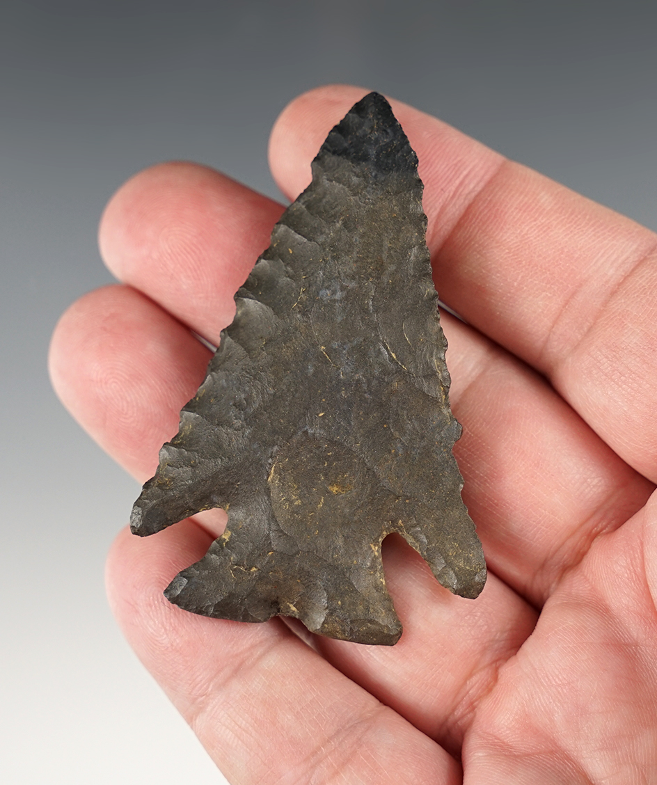 Serrated 2 9/16" Notch Base Archaic point found in Ohio. Heavily patinated.