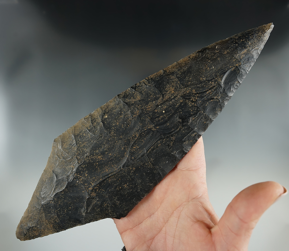 Huge! Well flaked and thin 10 1/8" Mayan ceremonial stemmed Blade found in Belize  COA.