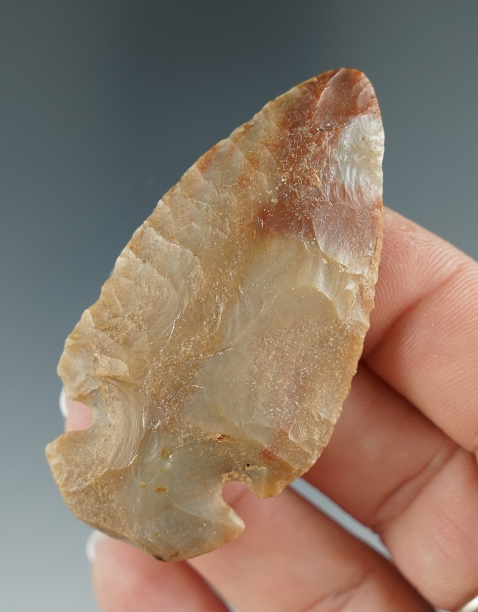 2 7/16" Dovetail made from beautiful Carter Cave Flint found in Scott Co., Kentucky