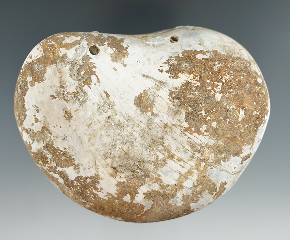 4 1/8" Marine shell drilled Gorget found in Ross Co., Ohio.