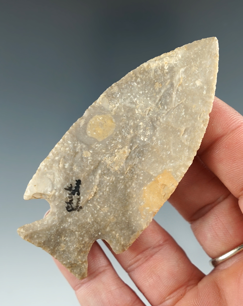 3 1/16" San Jacinto found in East Central Texas with incredible style and flaking. Roger COA.