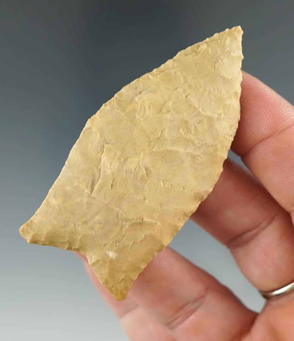 2 5/8" Golondrina with exceptional flaking - Lee Co., Texas, Gold Sand site.  Rogers COA.